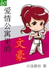 爱情公寓里的文豪封面