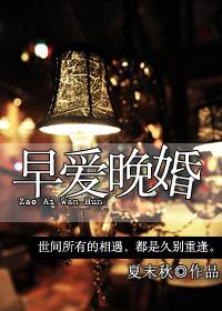 早爱晚婚封面