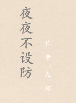 夜夜不设防封面