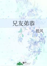 兄友弟恭封面