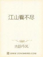 江山看不尽封面