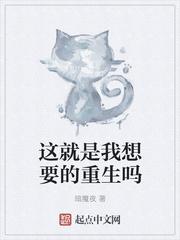 这就是我想要的重生吗封面