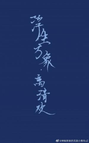 离清欢封面