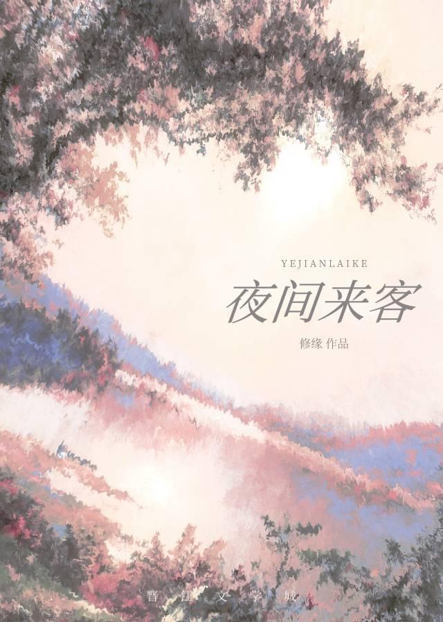 夜间来客封面