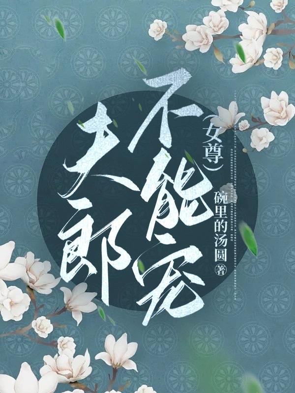 夫郎不能宠（女尊）封面