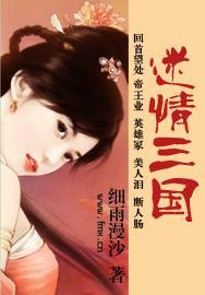 迷情三国封面