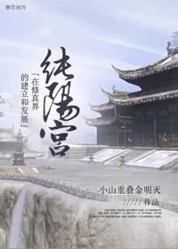 纯阳宫在修真界的建立及发展封面
