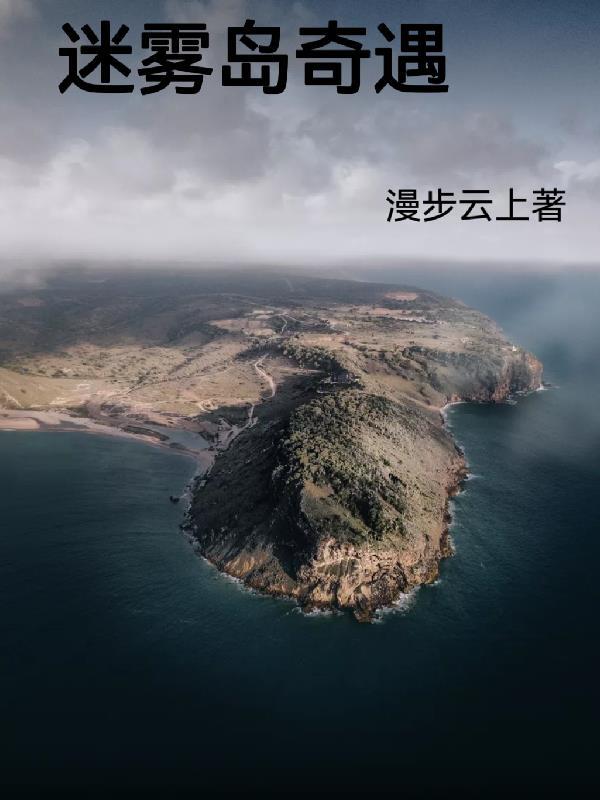 迷雾岛奇遇封面
