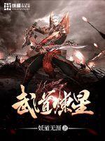 武道炼星封面