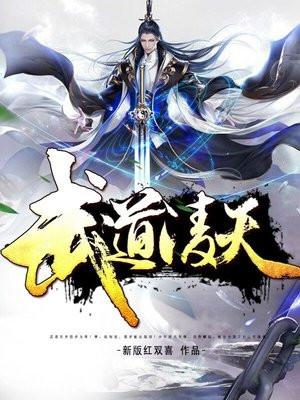 武道凌天封面