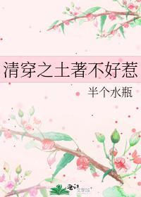 清穿之土着不好惹封面