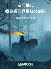 宗门崛起：我是修仙界最持久的崽封面