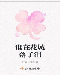 谁在花城落了泪封面