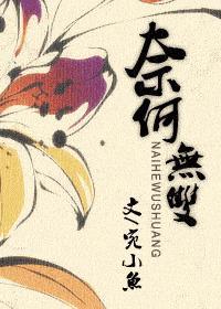 奈何无双封面