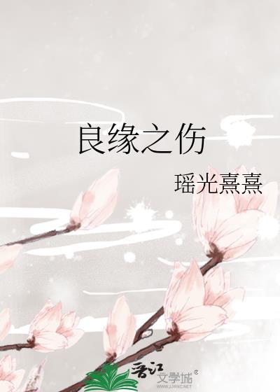 良缘之伤封面