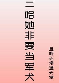 二哈她非要当军犬封面