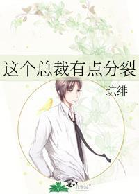 这个总裁有点分裂封面