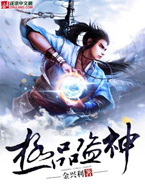 极品盗神封面