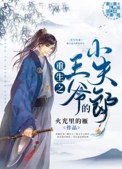重生之王爷的小夫郎封面