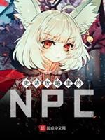 史诗攻略里的NPC封面