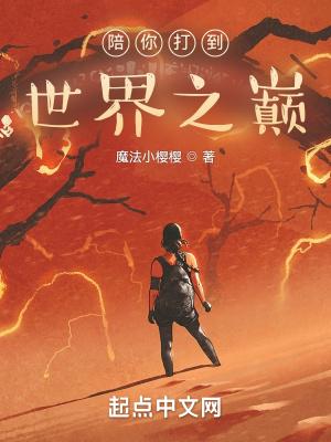 陪你打到世界之巅封面