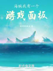 海贼：我有一个游戏面板封面