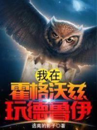 我在霍格沃茨玩德鲁伊封面