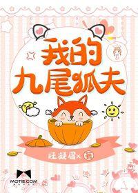我的九尾狐夫封面