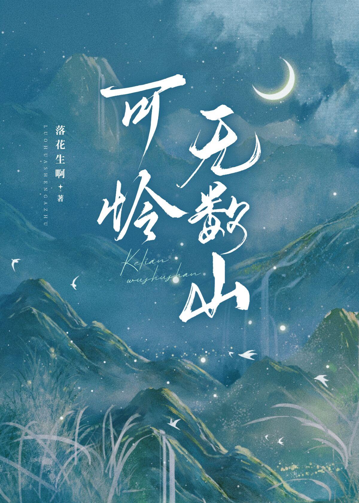可怜无数山封面
