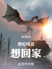 费伦精灵想回家封面