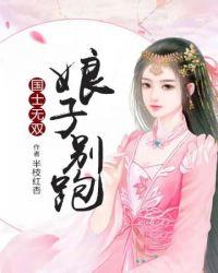 国士无双娘子别跑封面