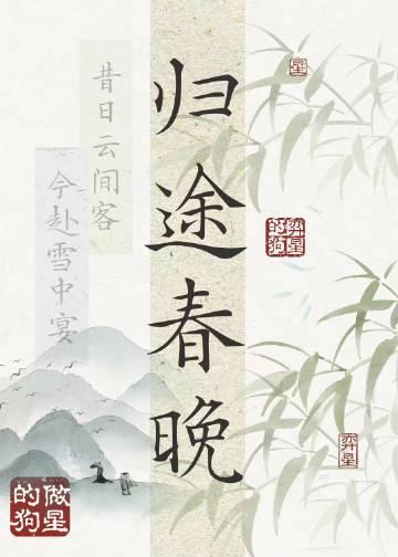归途春晚封面