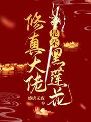 修真大佬是朵黑莲花封面