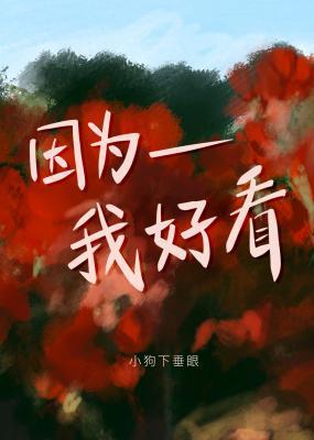 因为我好看封面