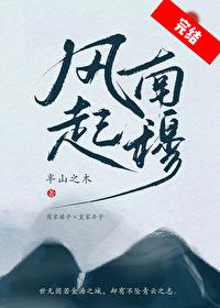 风起南穆封面