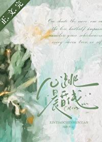 心跳晨昏线封面