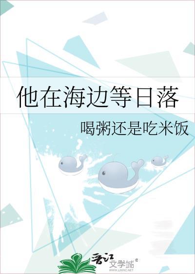 他在海边等日落封面