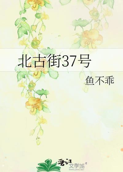 北古街37号封面
