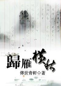 归雁横秋封面