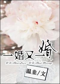 一婚又一婚封面