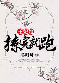 王妃她撩完就跑封面