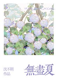 无尽夏封面