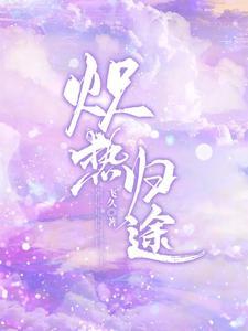 炽热归途封面