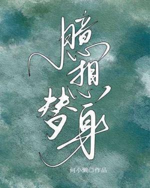臆想替身封面