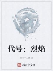 代号：烈焰封面
