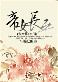 帝女长平封面