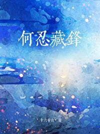 何忍藏锋封面