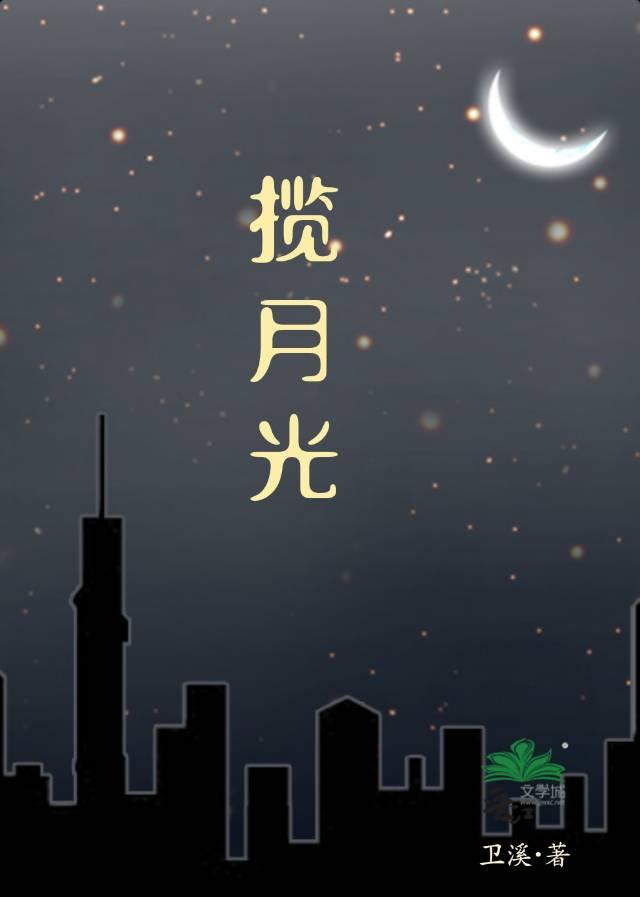 揽月光［完结］封面