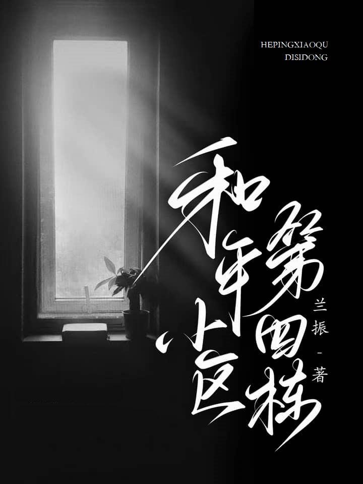 和平小区第四栋封面