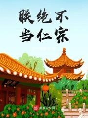 朕绝不当仁宗封面